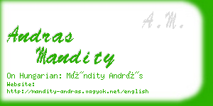 andras mandity business card
